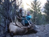 late-elk-05-007