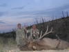 ron-stoller-elk-028