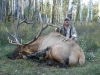 shawn-elk-07-012