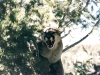 scan0007_0