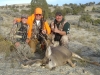 mule-deer-oct-2010-007