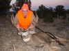 mule-deer-oct-2010-011