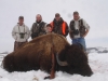 buffalo-hunt-jan-15-2011-011