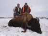 copy-of-buffalo-hunt-jan-15-2011-006